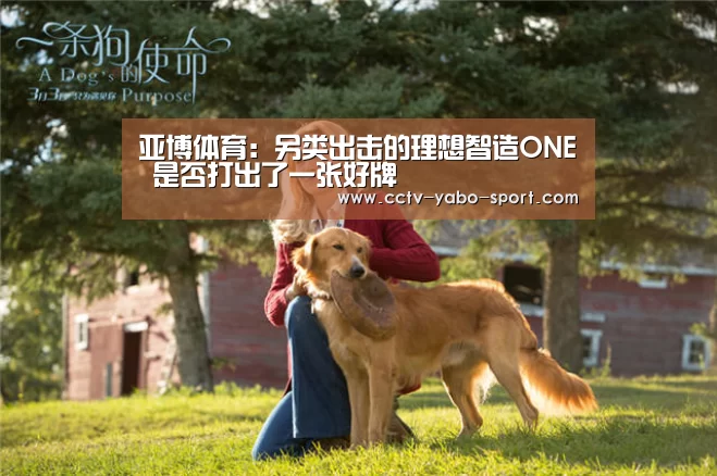 亚博官网
